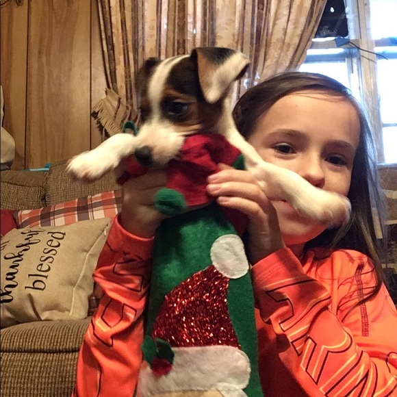 Hi-ya! - Picture 15 of 16